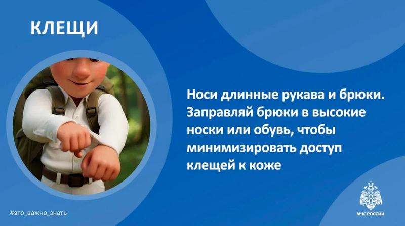 Клещи. Безопасность детей