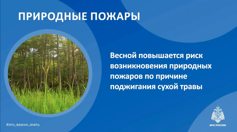 Природные пожары. Безопасность детей