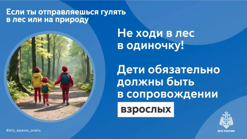 В лесу